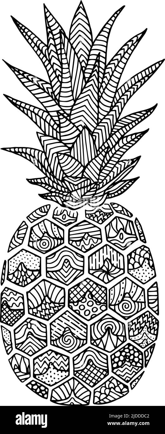 Pineapple doodle, hand drawn with brush pen, in line art style. Vector illustration Stock Vector