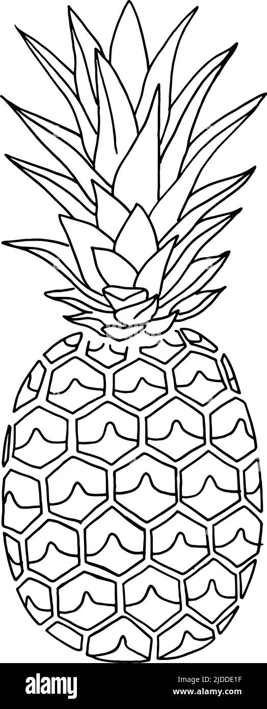 Pineapple doodle, hand drawn with brush pen, in line art style. Vector illustration Stock Vector