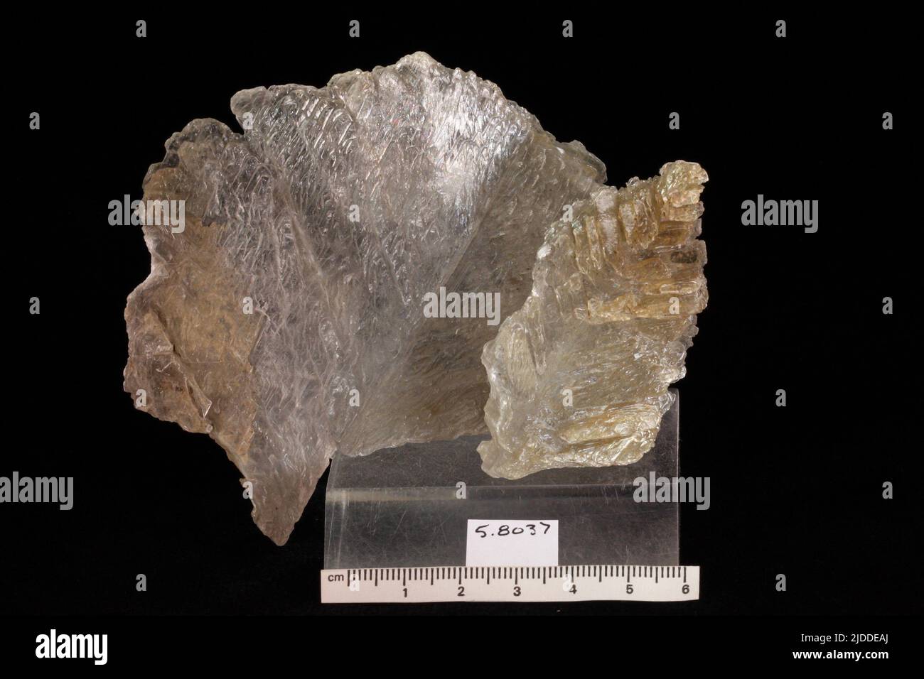 Gypsum. minerals. North America; USA; Kansas; Logan County Stock Photo