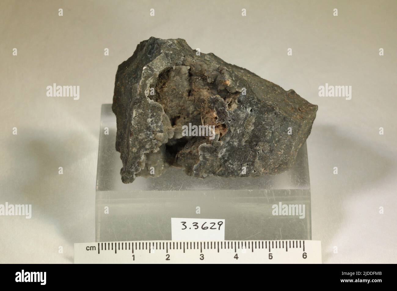 Hubnerite. minerals. North America; USA; Colorado; San Juan County; Silverton; North Star Mine, Sultan Mountain Stock Photo