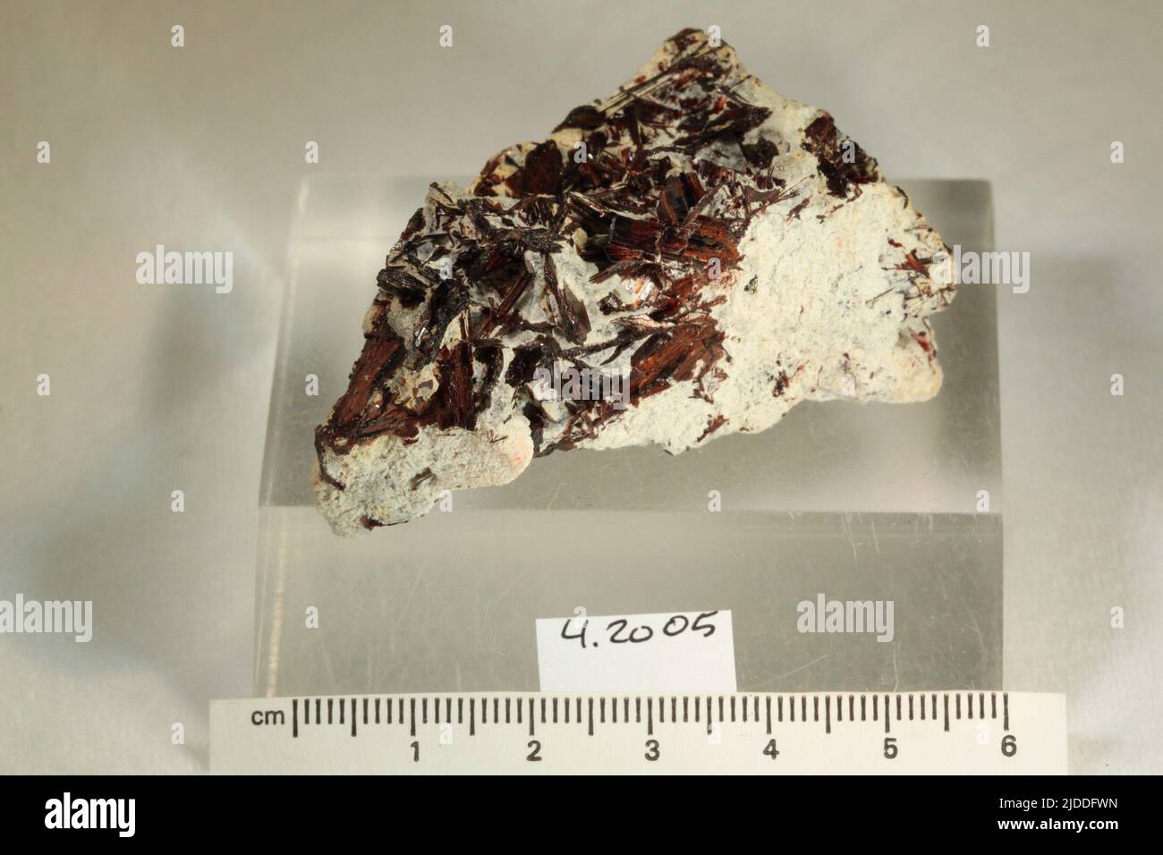 Hubnerite. minerals. North America; USA; Colorado; San Juan County; Silverton; Adams Claim Stock Photo