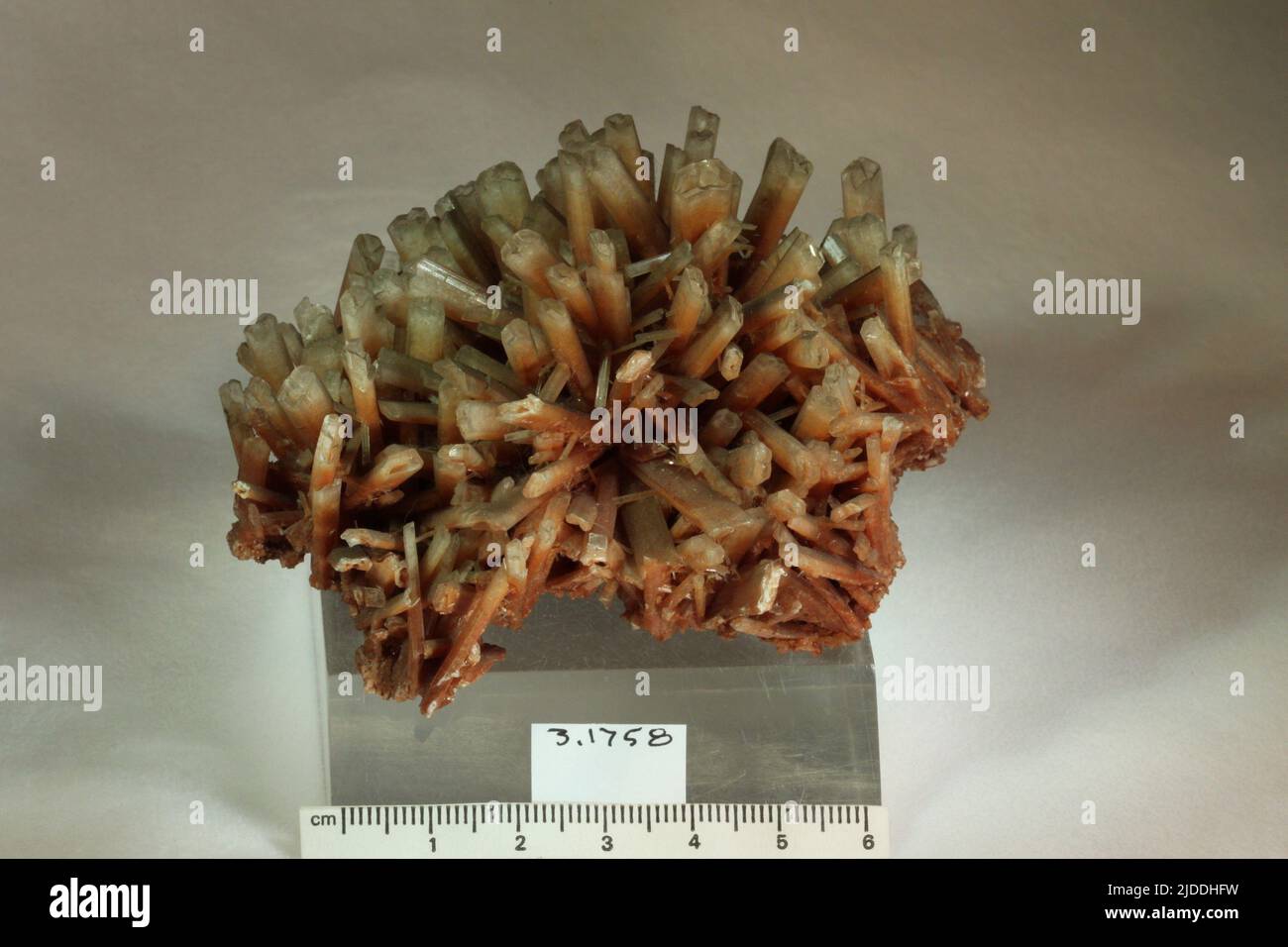 Gypsum. minerals. North America; USA; New York Stock Photo Alamy