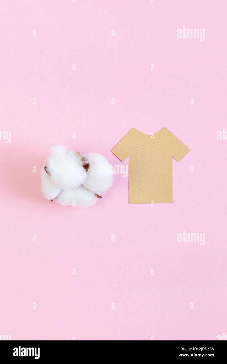 Cotton plant and paper t-shirt mockup on pink background. Stock Photo