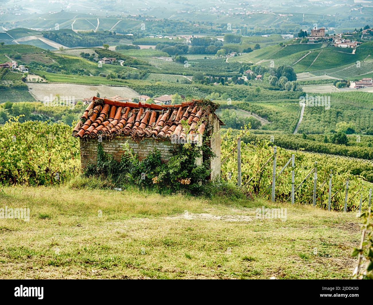 A small stone farm building sits next to a vineyard in the Piedmont hills near Serralunga. Stock Photo