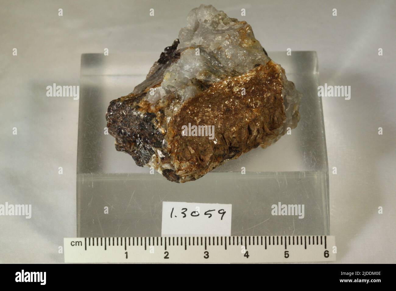 Cassiterite. minerals. North America; USA; South Dakota; Lawrence