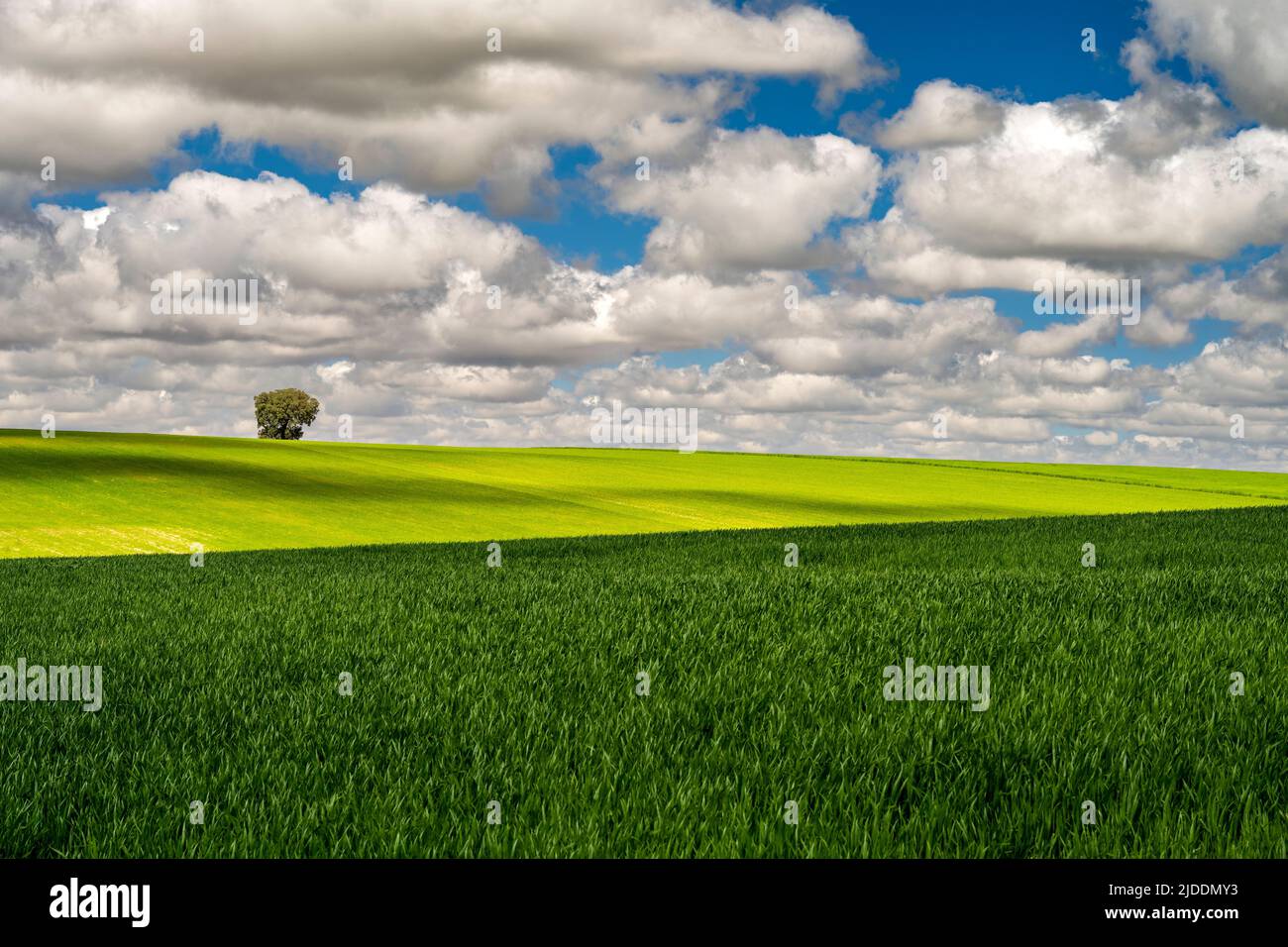 Rolling hills landscape in spring, Castilla-La Mancha, Spain Stock Photo
