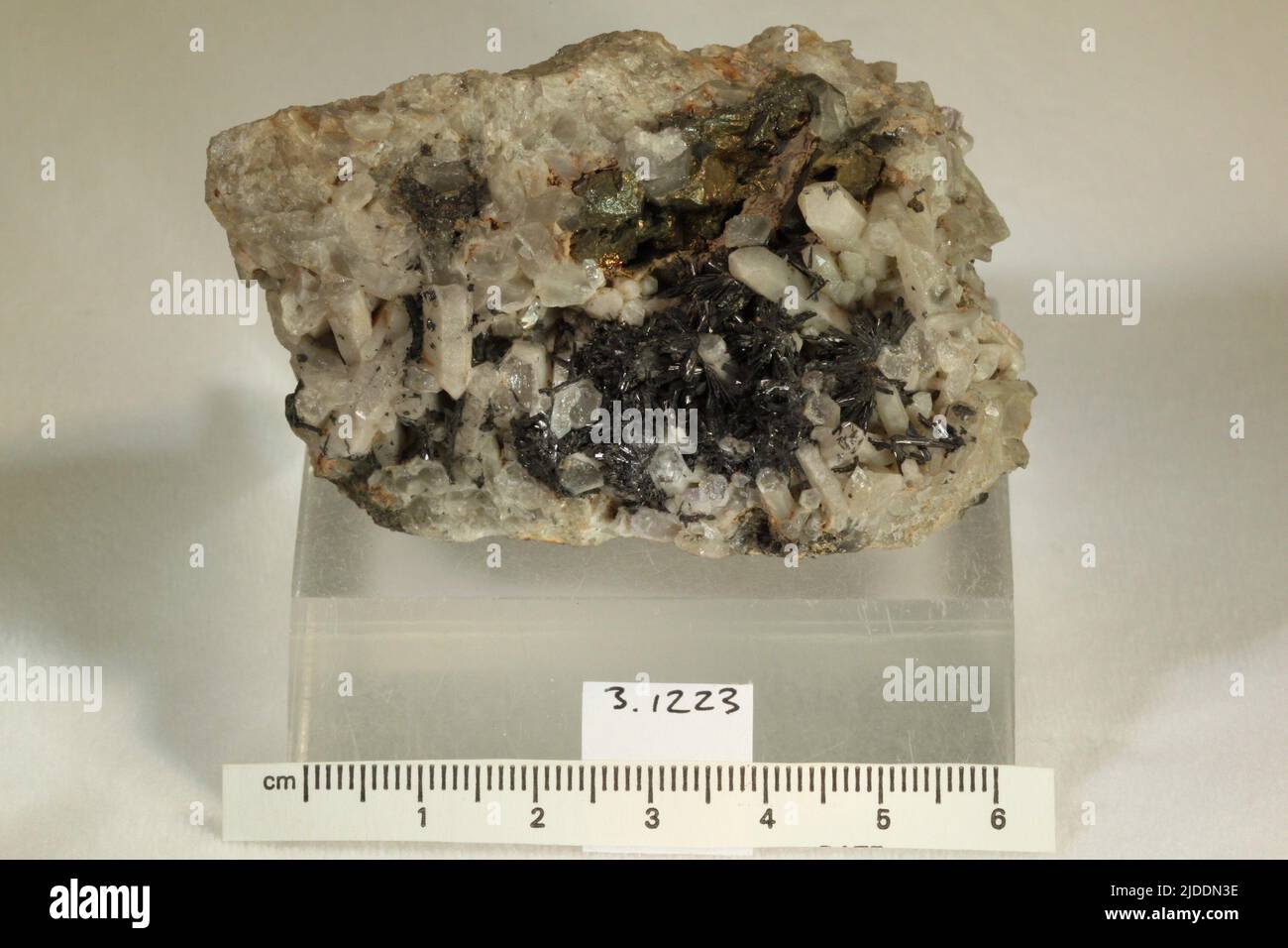 Hubnerite. minerals. Europe; Czech Republic; Karlovy Vary Region; Sokolov District; Horní Slavkov; [Bohemia, Schlaggenwald] Stock Photo