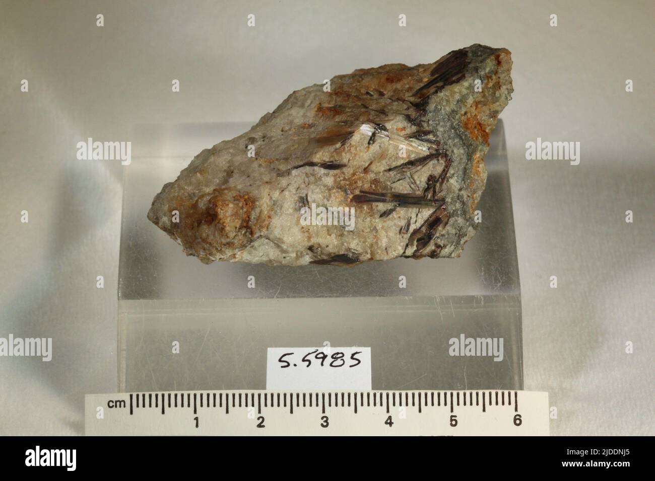 Hubnerite. minerals. North America; USA; Colorado; Ouray County; Ouray; Royal Albert Vein Stock Photo