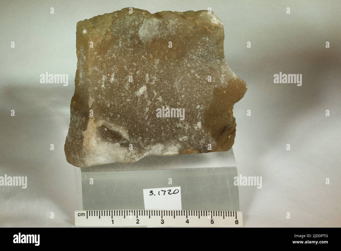 Gypsum. minerals. North America; USA; Michigan; Kent County; Grand