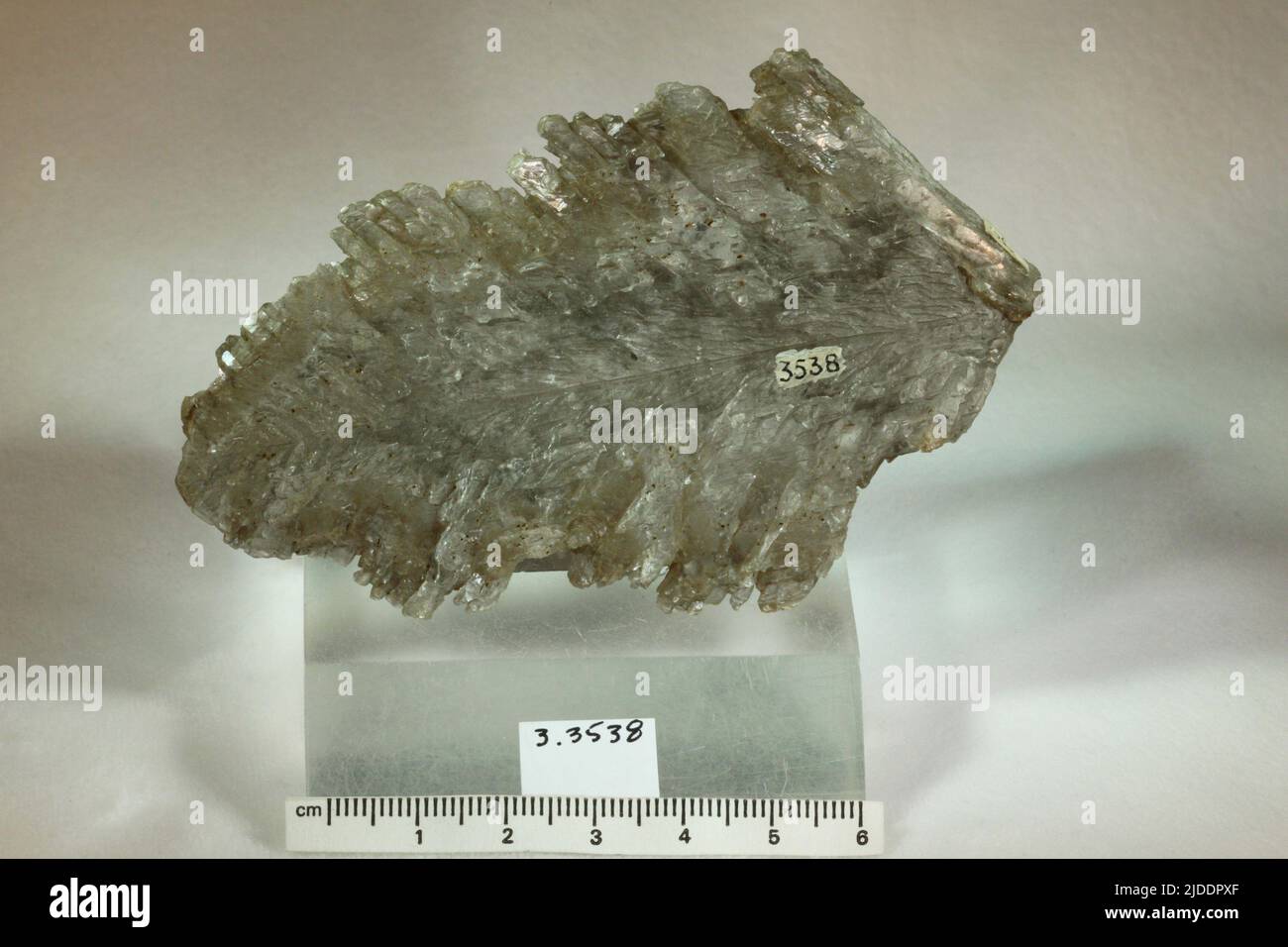 Gypsum. minerals. North America; USA; Kansas; Logan County Stock Photo