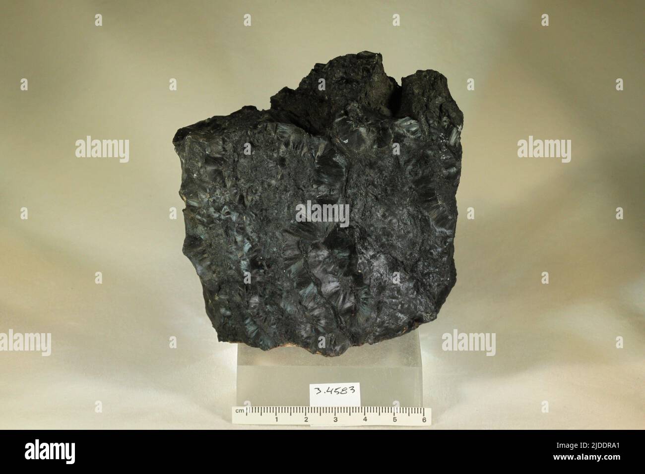 Ludwigite. minerals. Europe; Romania; Banat; Caras-Severin; Ocna de Fier; Delius Mine [Morawicza] Stock Photo