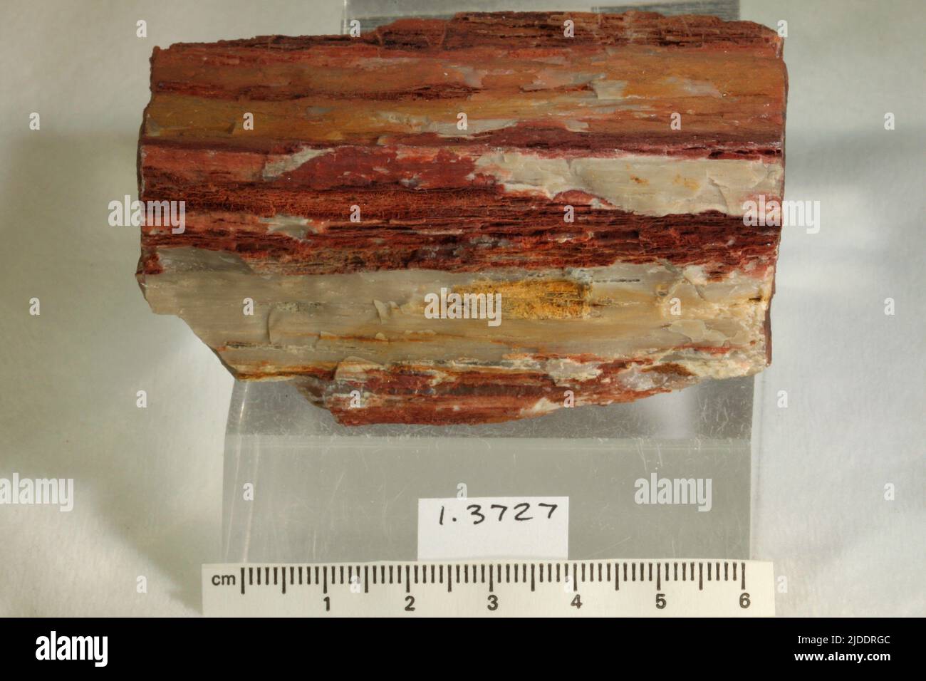 Opal. minerals. North America; USA; California; Nevada County; Blue Hill Stock Photo