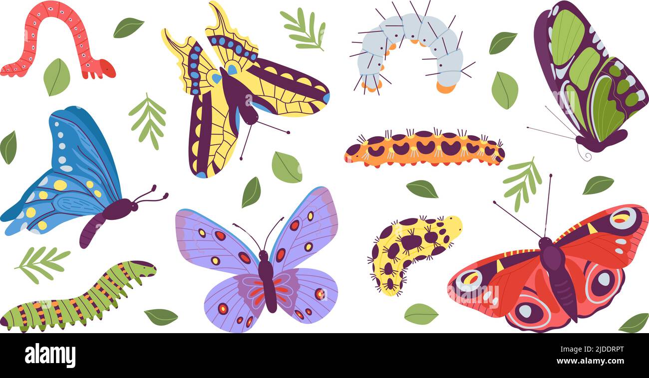 Caterpillar and butterfly. Pupa caterpillars and beautiful butterflies. Baby insects wildlife, isolated spring summer garden flying characters, decent Stock Vector