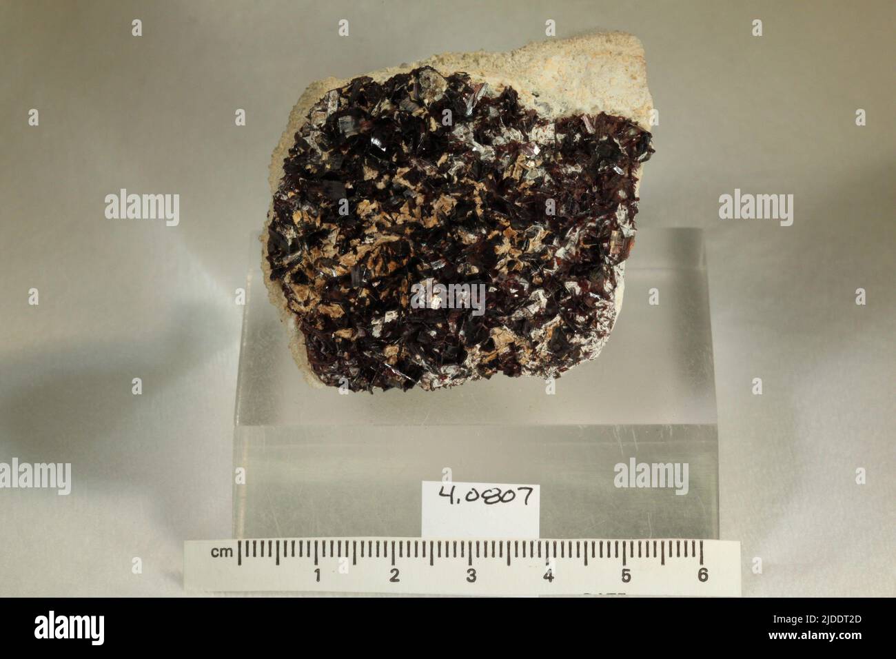 Hubnerite. minerals. North America; USA; Colorado; San Juan County; Silverton Stock Photo