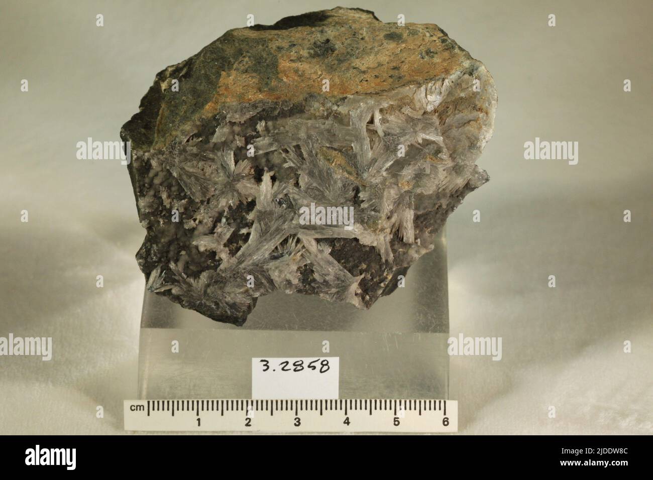 Precipitated Rocks Sedimentary precipitate hi-res stock photography and images - Alamy