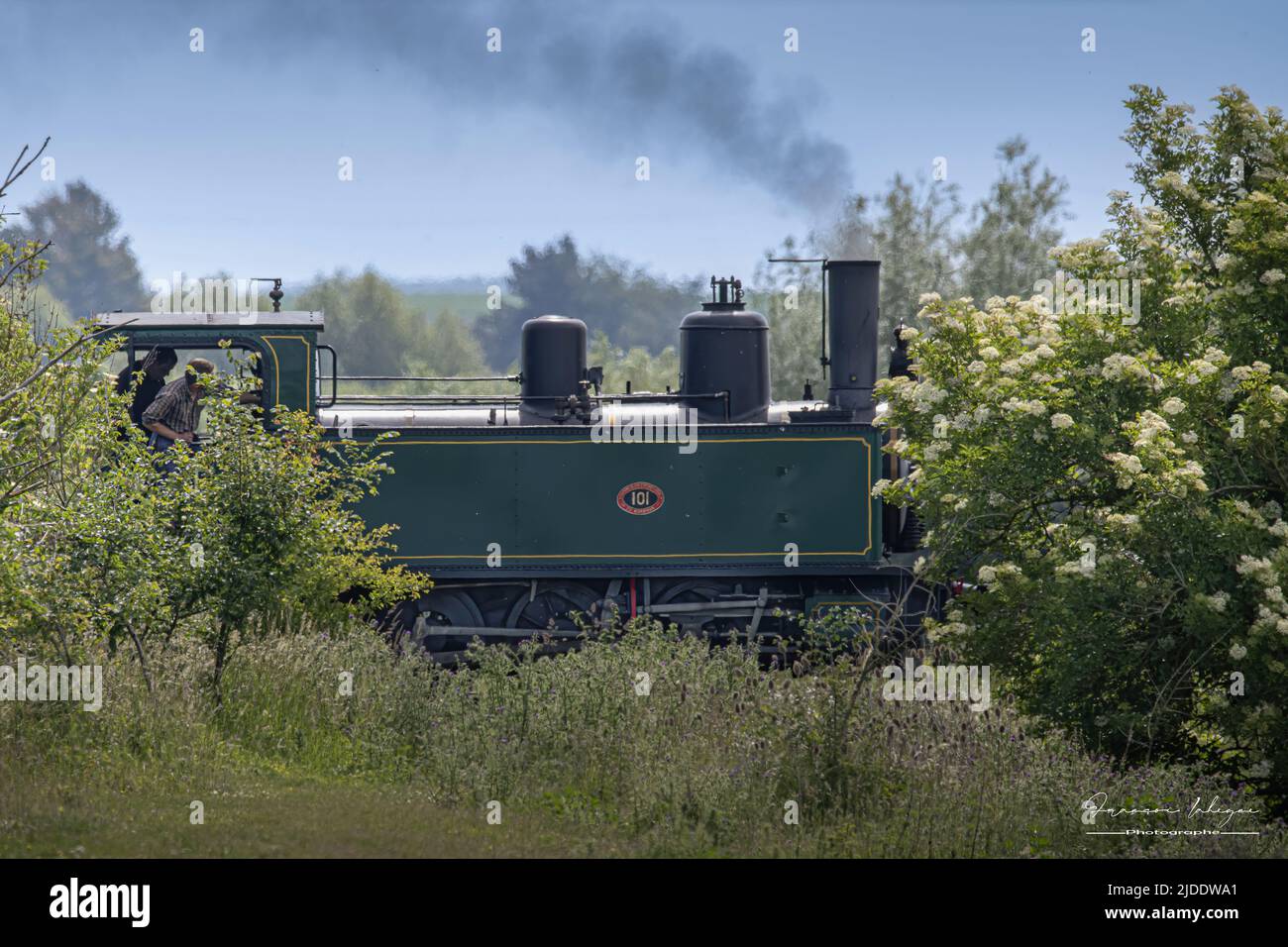 Train de la baie de Somme, locomotive à vapeur Stock Photo