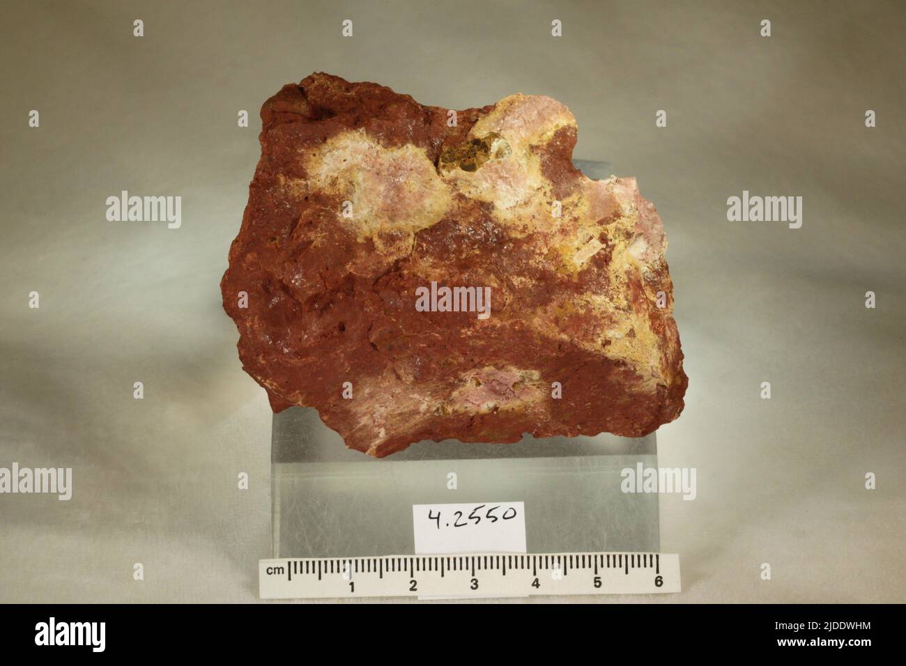 Sitemapcdatahttpsdekokniqoocomjardin Mineral Bouches Du Rhonenull