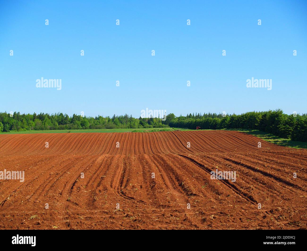 PEI red soil Stock Photo Alamy