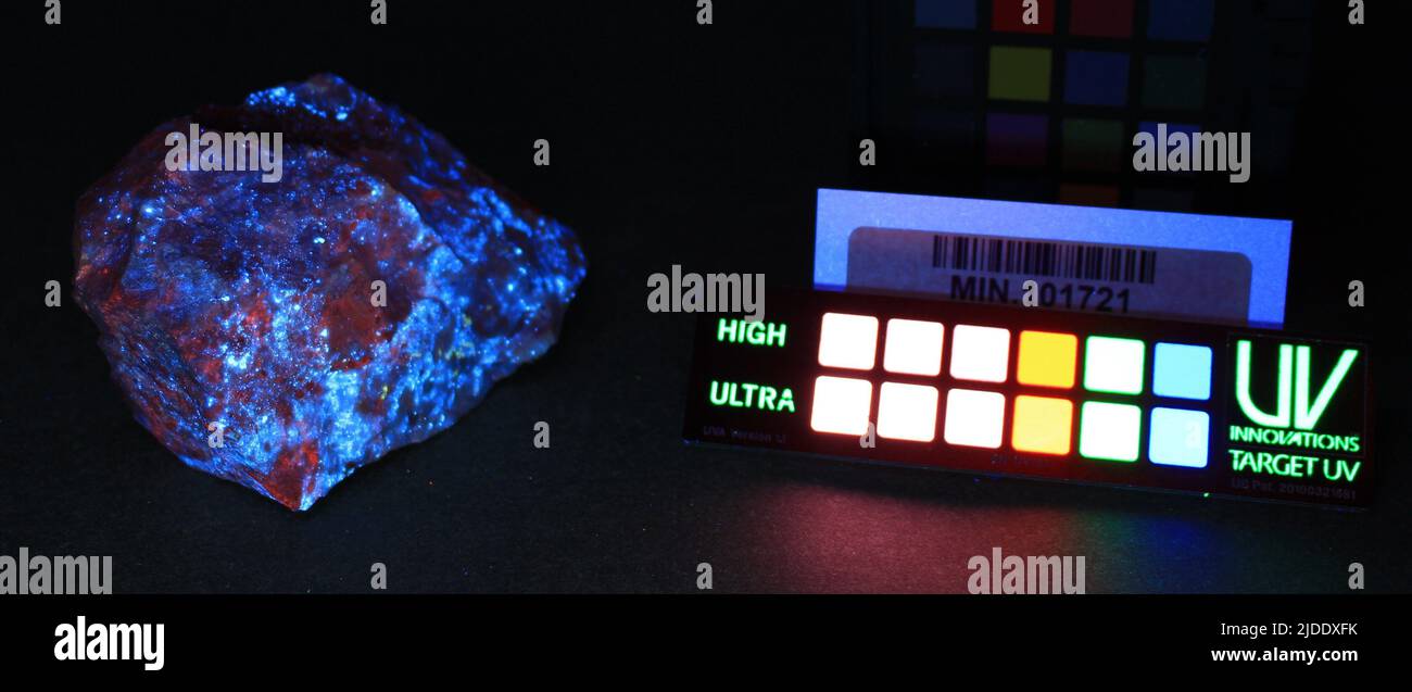 Scheelite. minerals. North America; USA; Nevada; White Pine County; Tungsten Queen Mine Stock