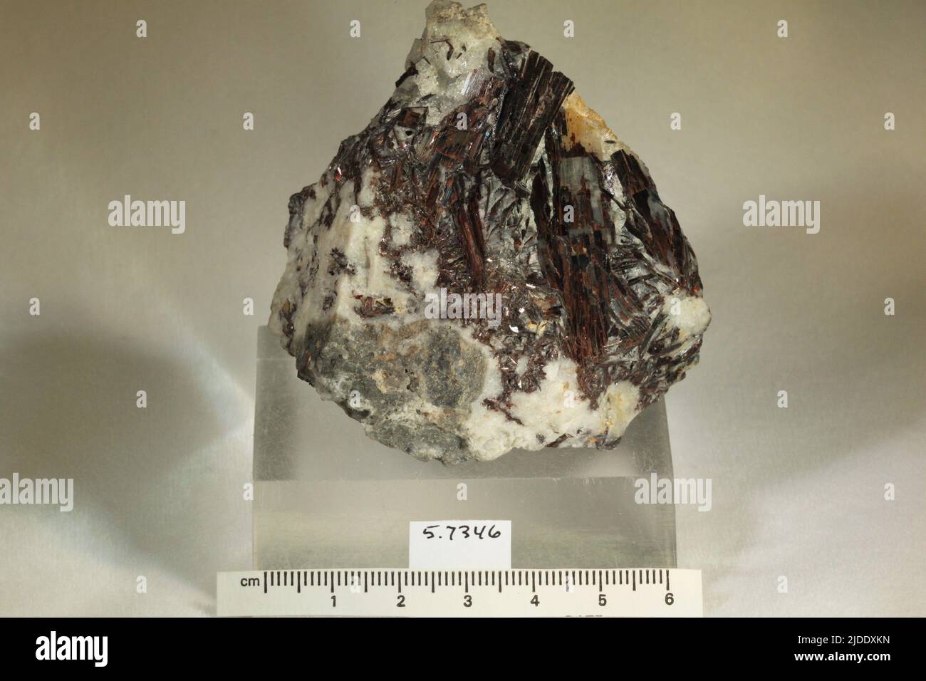 Hubnerite. minerals. North America; USA; Colorado; San Juan County; Silverton; Zuni Mine Stock Photo