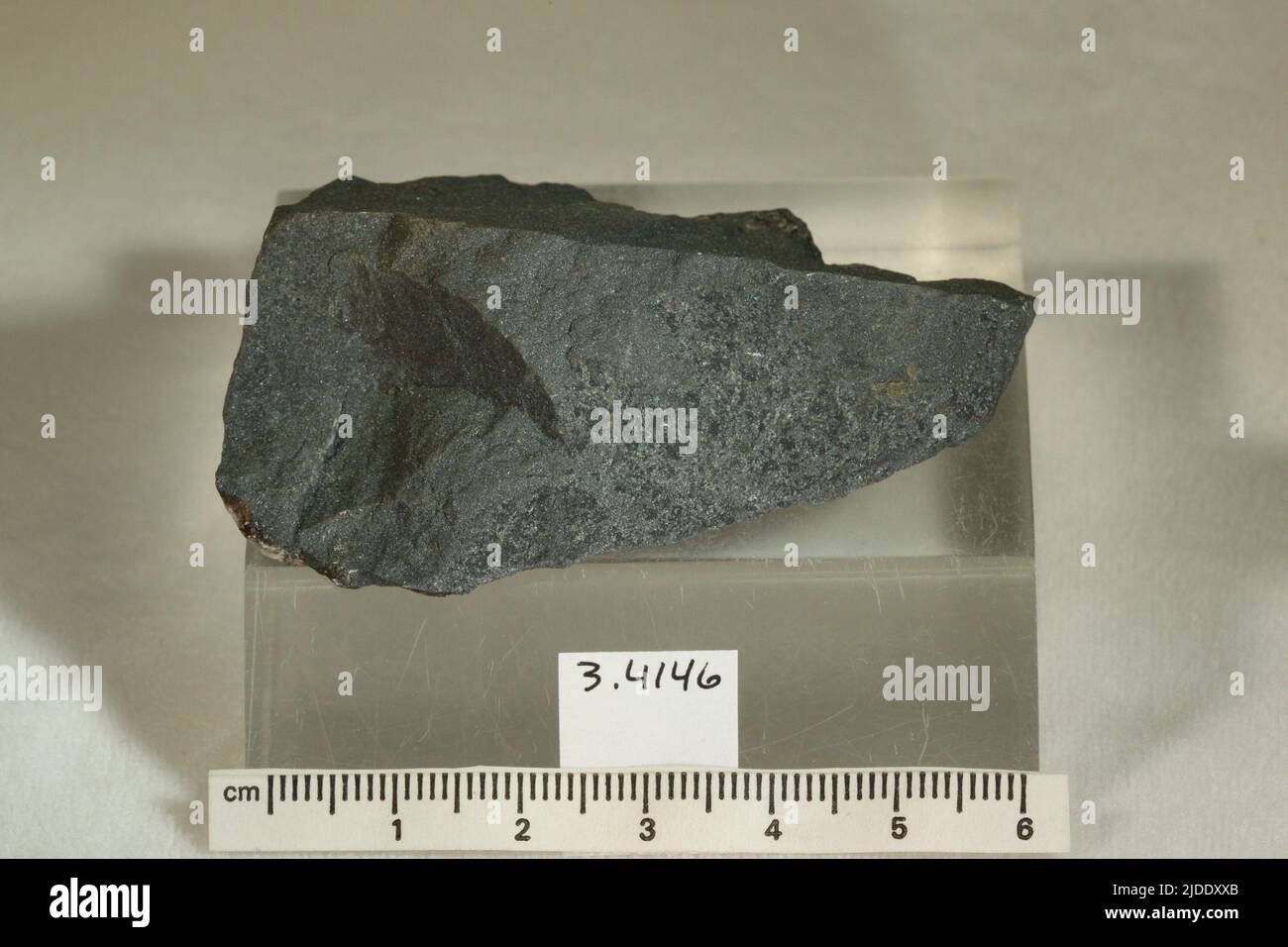 Finnemanite. minerals. Europe; Sweden; Varmland Province; Langban Stock Photo