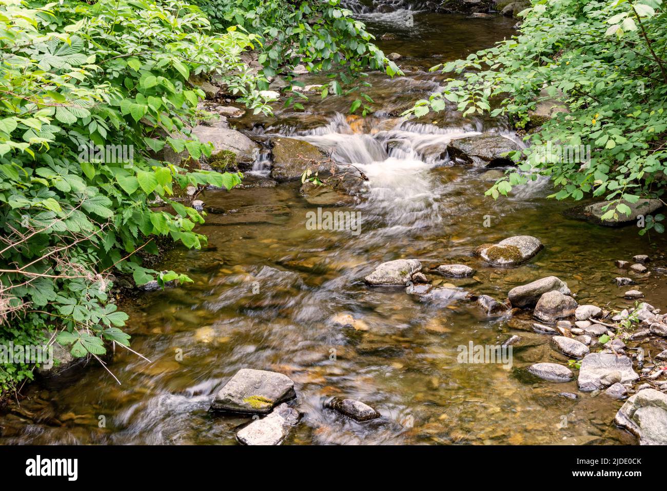 So wie hier plätschert die Radau überall in Bad Harzburg Stock Photo