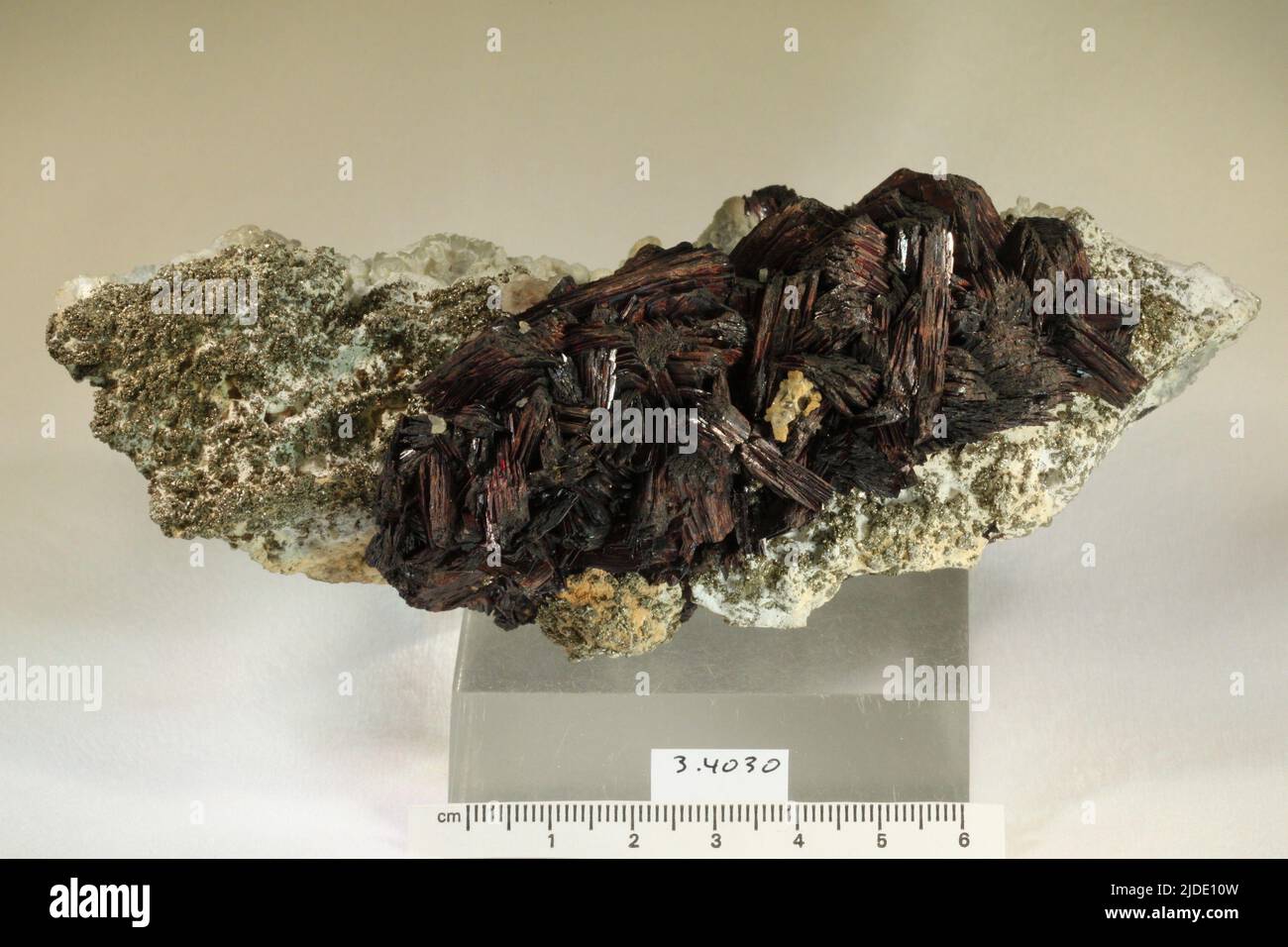 Hubnerite. minerals. North America; USA; Colorado; Gilpin County; Rollinsville Stock Photo