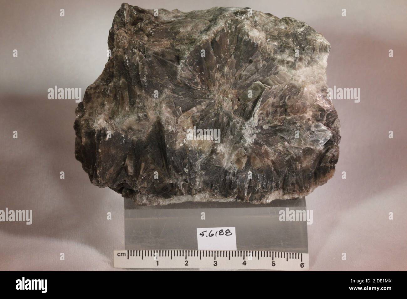 Gypsum. minerals. North America; Canada; Nova Scotia Stock Photo Alamy