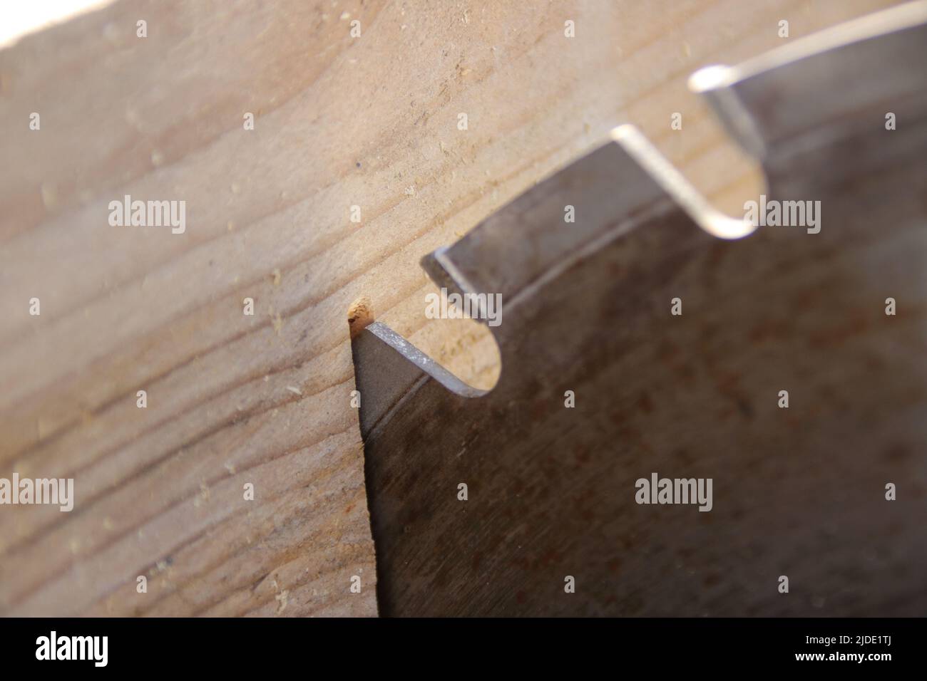 A piece of lumber rests against the saw blade of a circular saw Stock Photo
