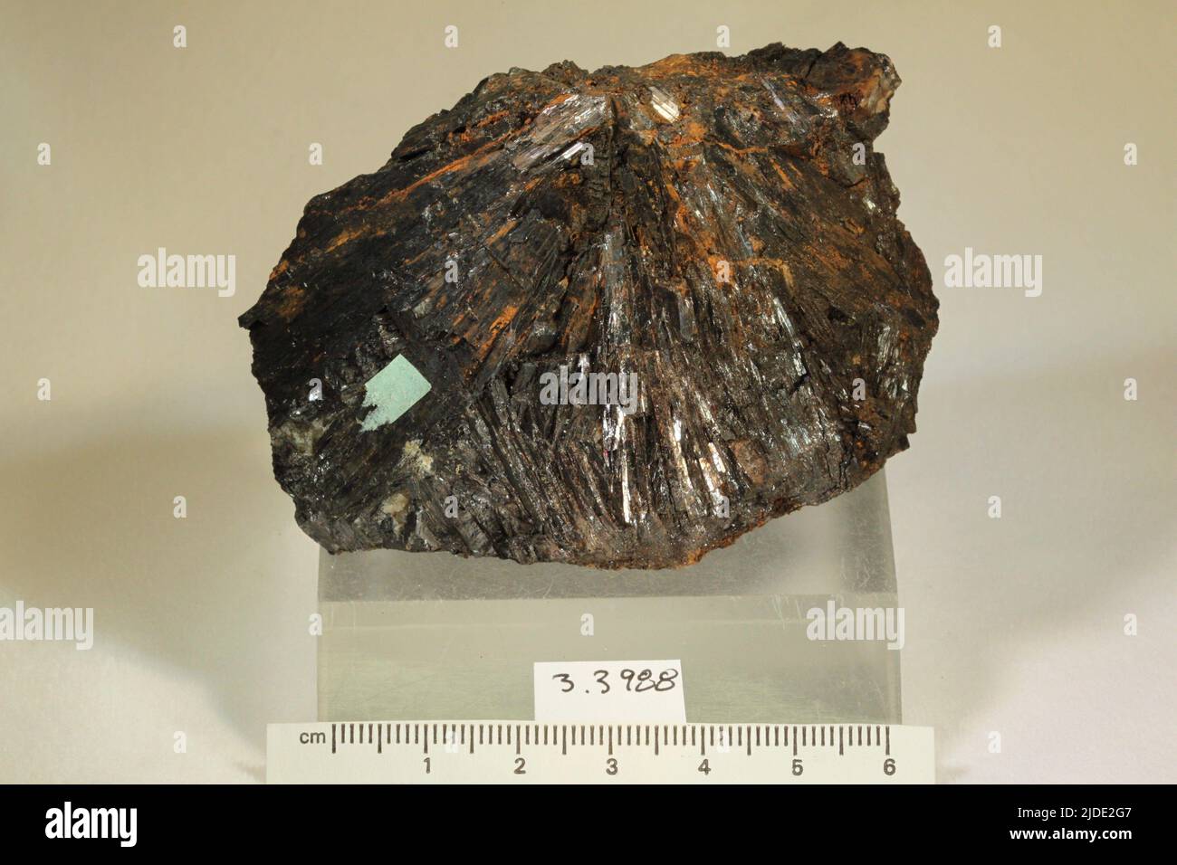 Hubnerite. minerals. North America; USA; South Dakota; Lawrence County; Deadwood Stock Photo