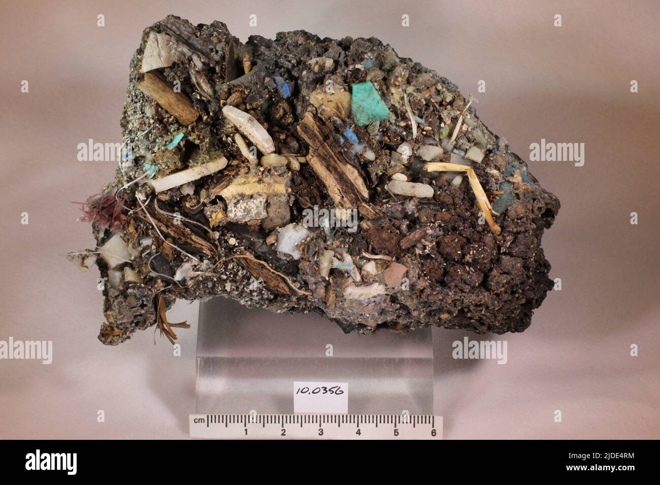 Plastiglomerate. minerals. North America; USA; Hawaii; Hawaii County