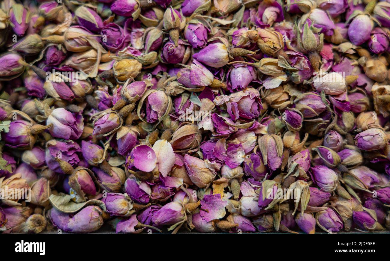 Dried rose buds small purple for the background on the whole frame ...