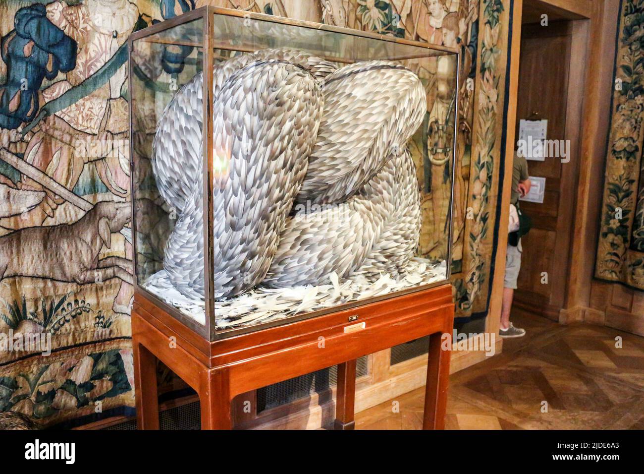 Musée de la Chasse et de la Nature - Paris : Kate Mcc GUIRE (Born 1964) English sculptor - feathers artwork Stock Photo