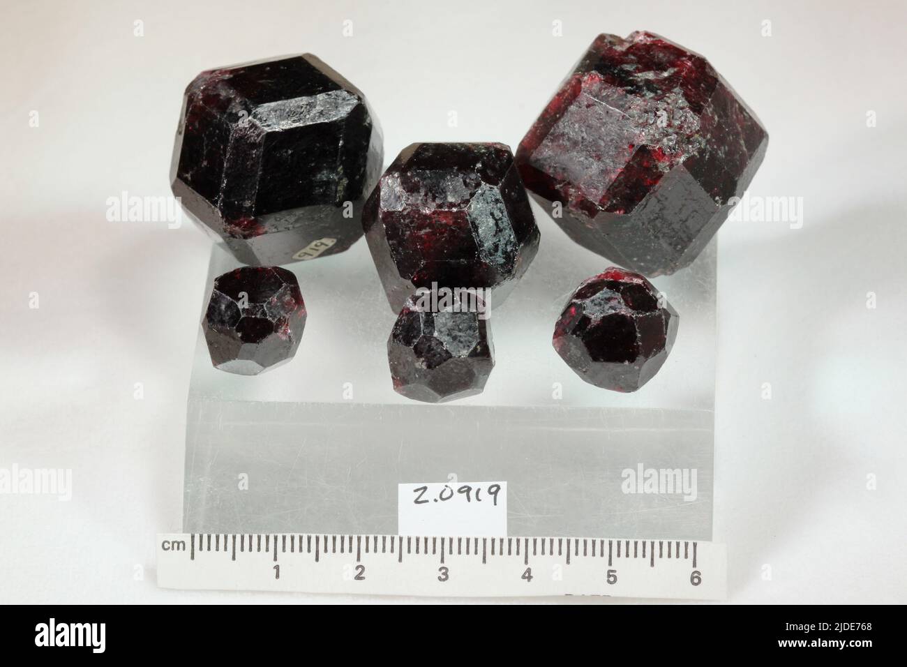 grave undtagelse evaluerbare Garnet. minerals. North America; USA; Alaska Stock Photo - Alamy