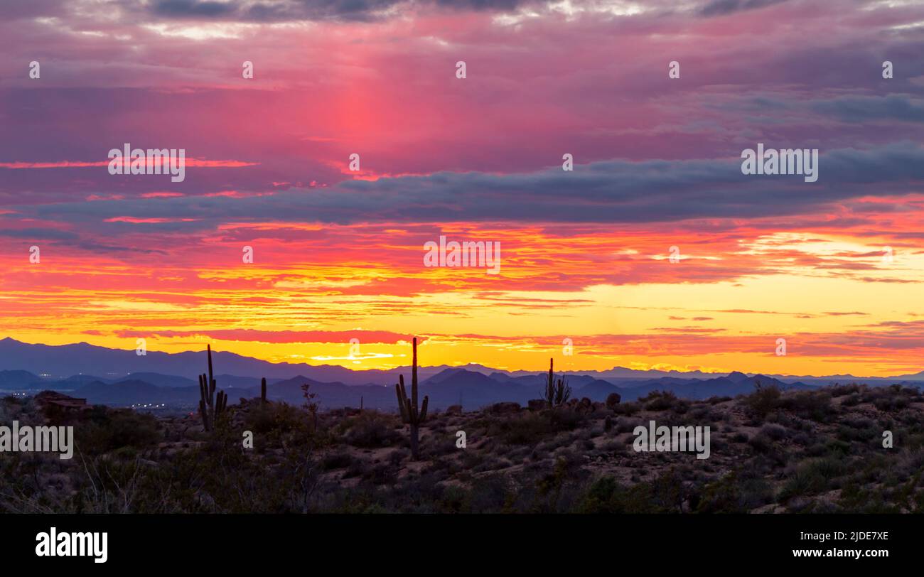 Fiery sunset saguaro cactus hi-res stock photography and images - Alamy