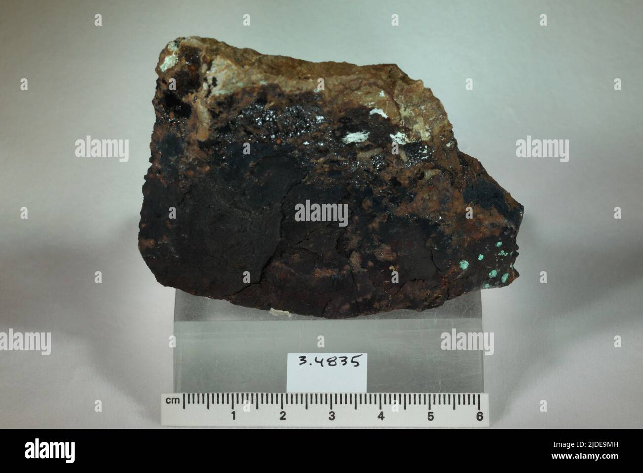 Olivenite. minerals. North America; USA; Nevada; Pershing County; Majuba Hill Stock Photo