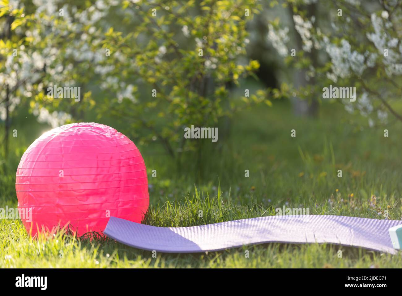 yoga mat on a green lawn. Bright colors. Front view. Concept fitness outside, sport, healthy lifestyle, quarantine, home gym. Sunny day. Copy space Stock Photo