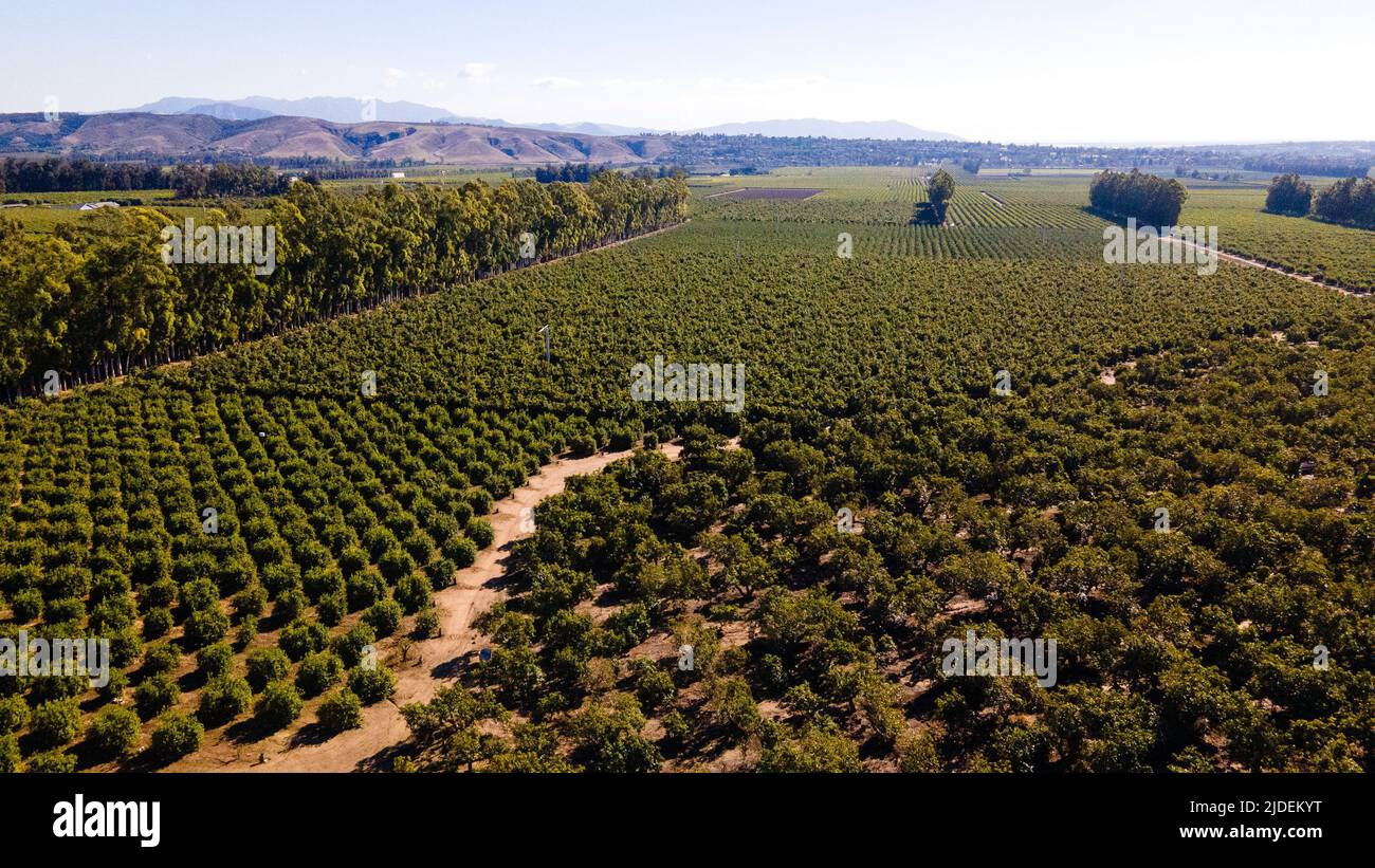 Oxnard California USA Stock Photo - Alamy