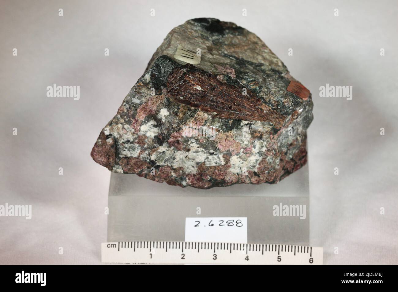 Lamprophyllite. minerals. Asia; Russia; Murmanskaya Oblast; Kola Peninsula, Hibina Tundra Stock Photo