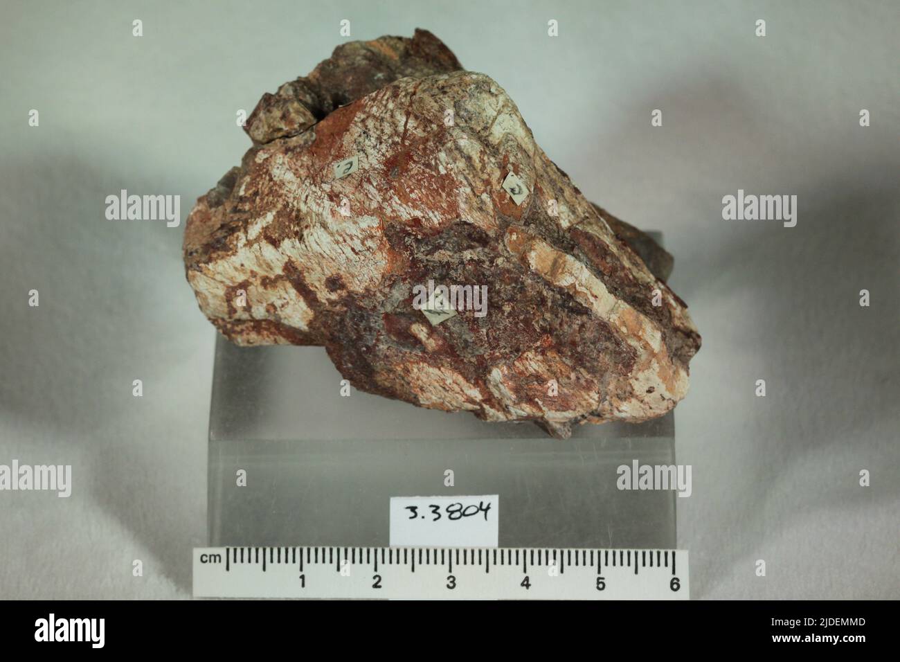 Natromontebrasite. minerals. North America; USA; Colorado; Fremont County; Canon City; 4 mi NW of Stock Photo