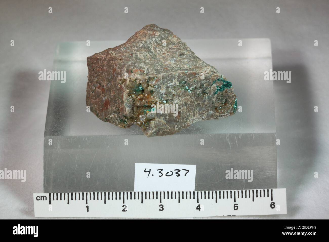Zapatalite. minerals. North America; Mexico; Sonora; Agua Prieta; 27 km SW of Stock Photo