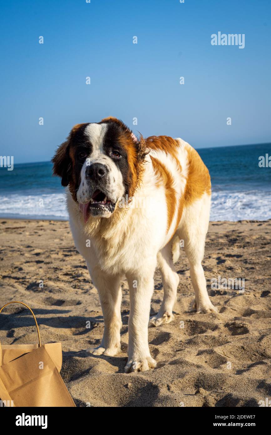 Malibu California USA Stock Photo Alamy