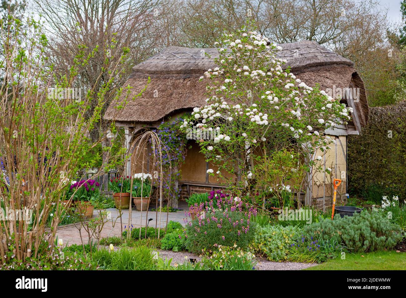 The charming thatched Summer house in The Potager and Cottage Garden, RHS Rosemoor, Devon, UK Stock Photo