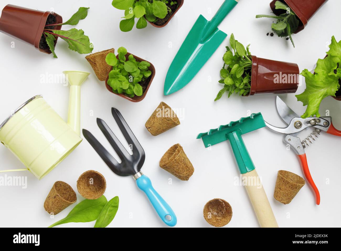 Spring Planting Tools Gardening tools and plant seedlings in pots on a white background ...