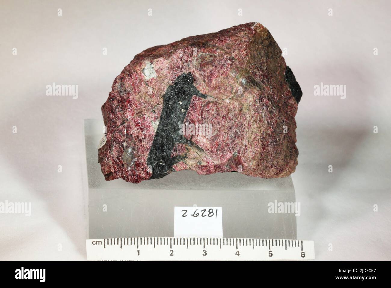 Eudialyte. minerals. Asia; Russia; Murmanskaya Oblast; Kola Peninsula, Hibina Tundra Stock Photo