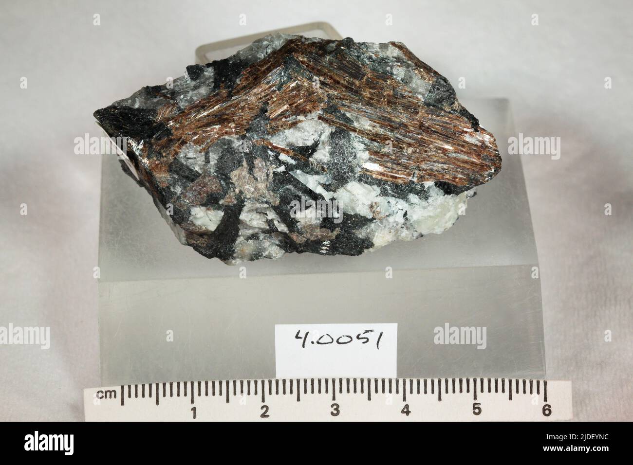 Lamprophyllite. minerals. Asia; Russia; Murmanskaya Oblast; Kola Peninsula Stock Photo