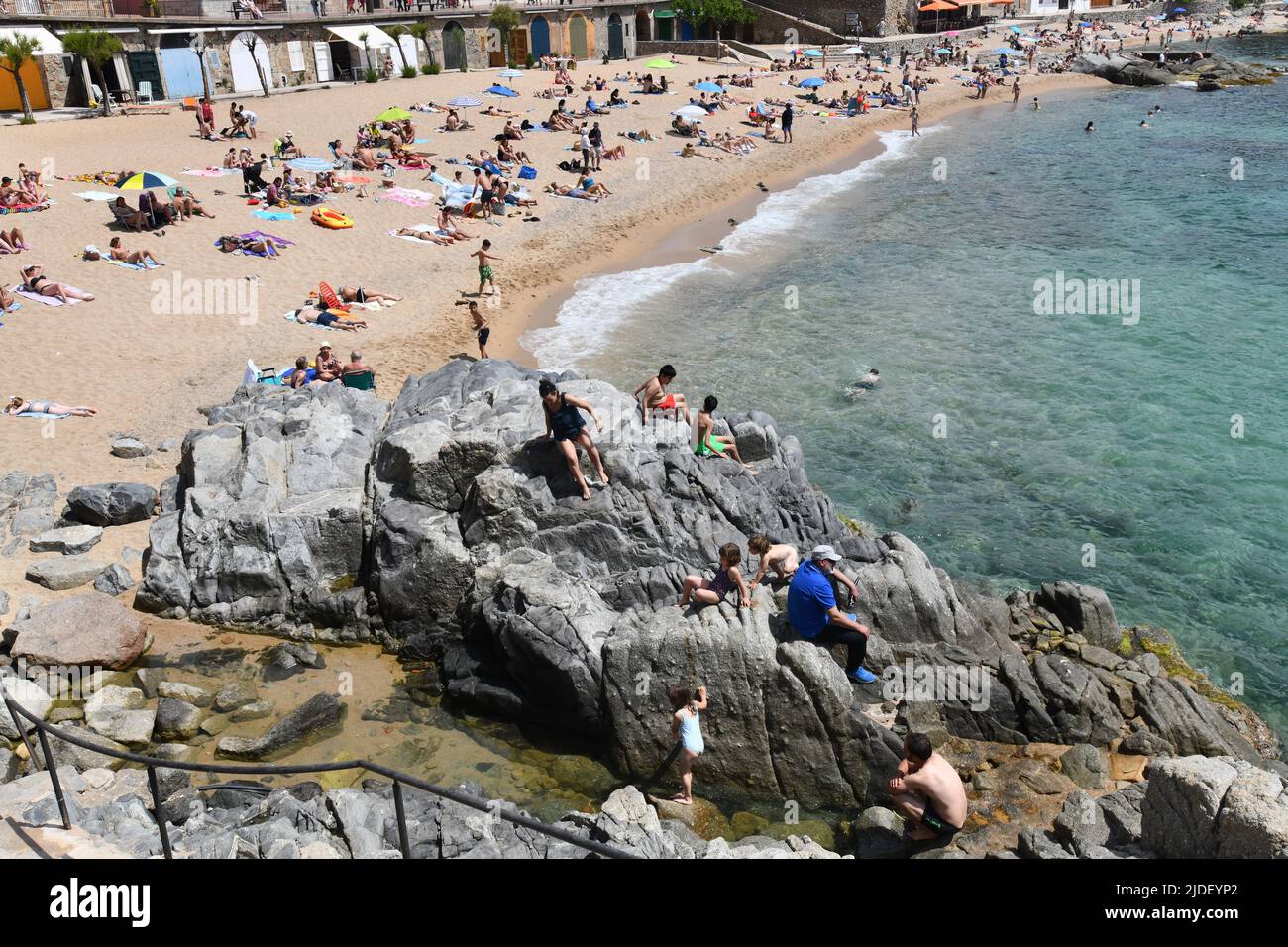 Platja Canadell beach between Llafranc and Calella Palafrugel on the Costa Brava, Catalonia, Spain Stock Photo