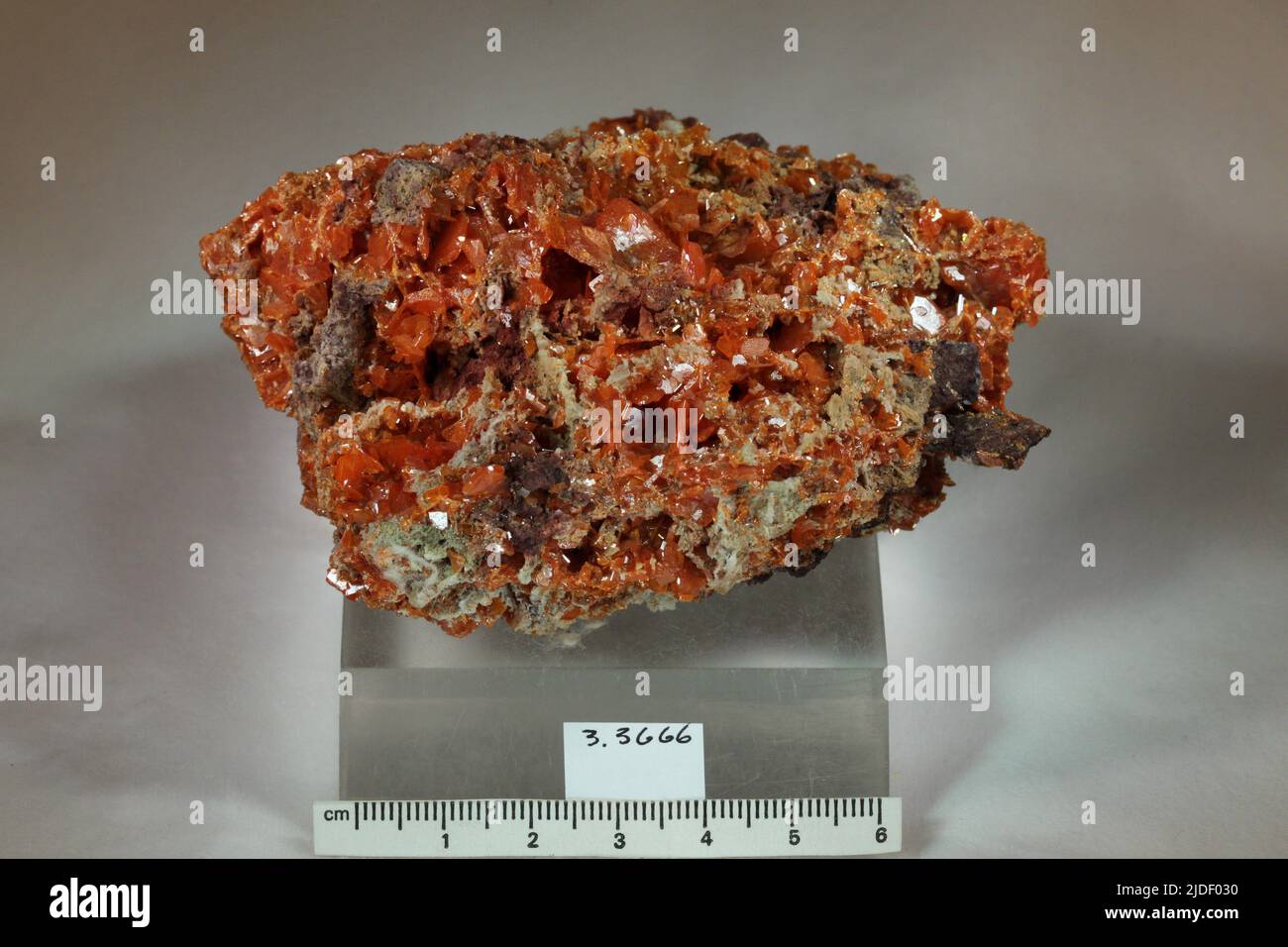 Wulfenite. minerals. North America; USA; Nevada; Clark County; Searchlight; Lincoln County Stock Photo