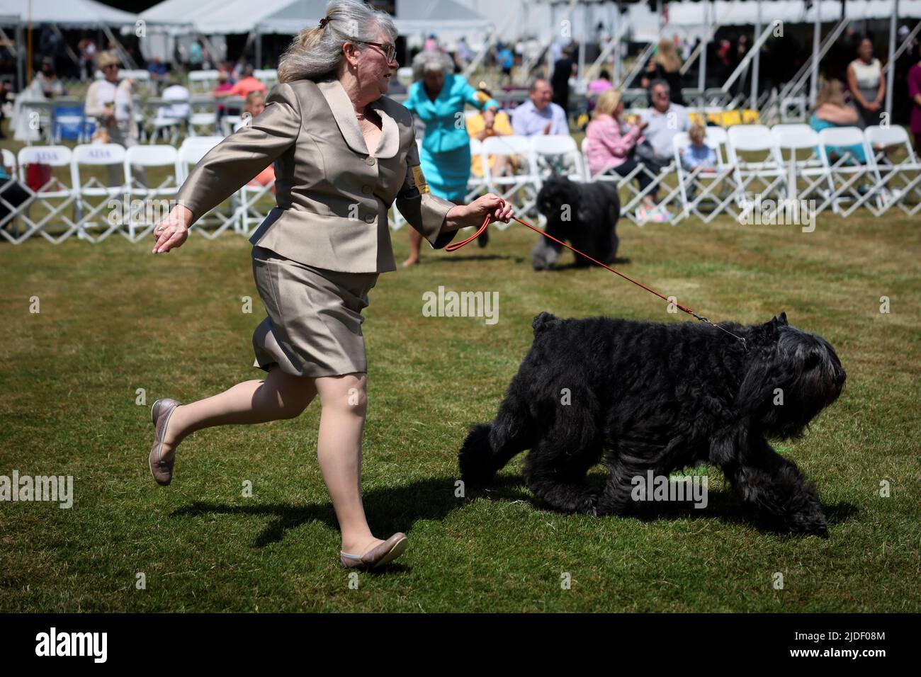 A handler runs a Briard dog in the ring during breed judging at the 146th Westminster Kennel Club Dog Show at the Lyndhurst Estate in Tarrytown, New York, U.S., June 20, 2022. REUTERS/Mike Segar Stock Photo