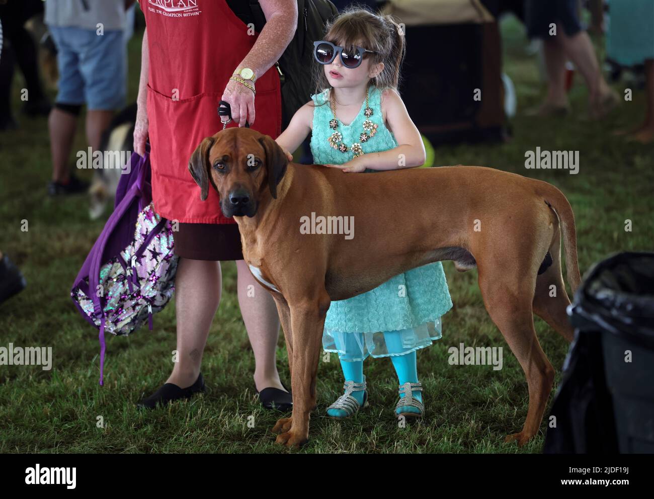 A young girl leans on her Rhodesian Ridgeback dog while waiting for the breed to be judged at the 146th Westminster Kennel Club Dog Show at the Lyndhurst Estate in Tarrytown, New York, U.S., June 20, 2022. REUTERS/Mike Segar     TPX IMAGES OF THE DAY Stock Photo